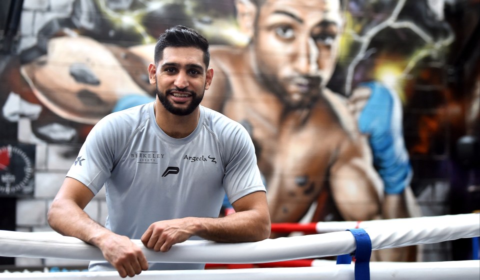 Amir Khan lost to Terence Crawford in 2019