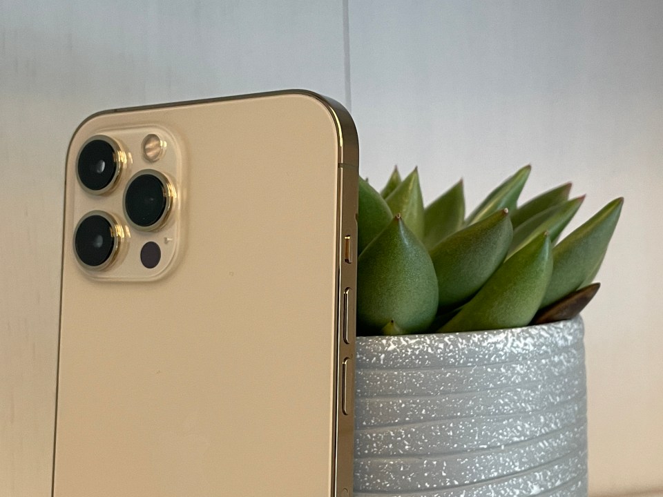 Apple's iPhone 12 Pro Max is available in this swanky gold colour option