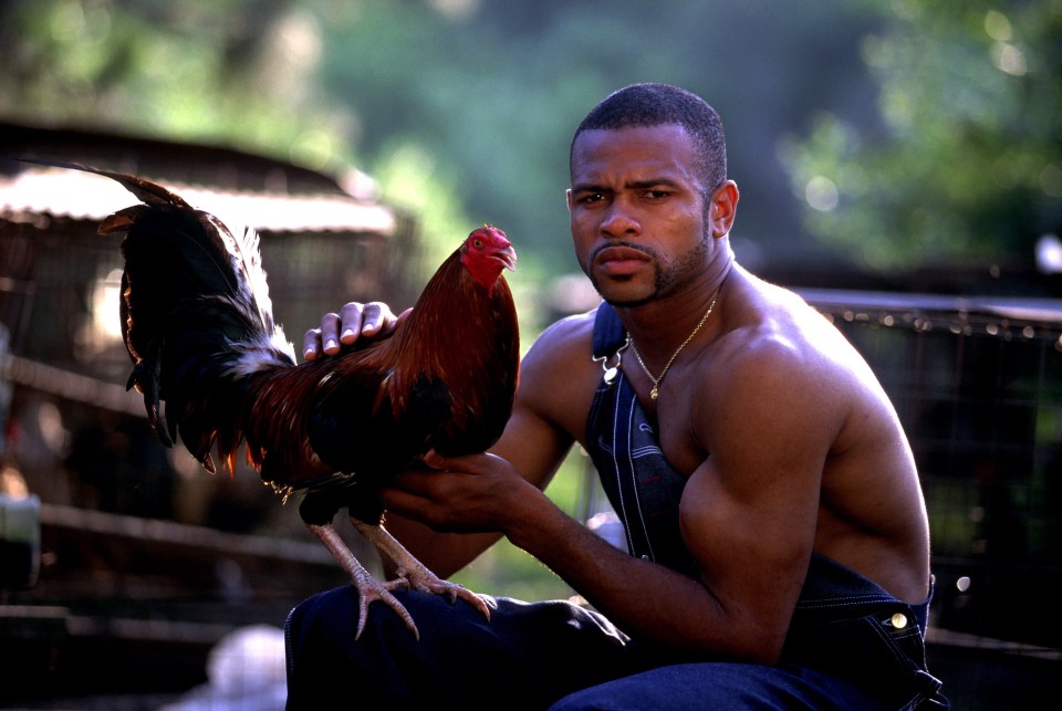 Not to be outdone Roy Jones Jr keeps roosters on his Florida estate