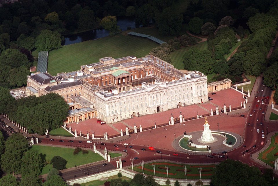 Fagan claims he climbed a drainpipe and made it onto the palace roof