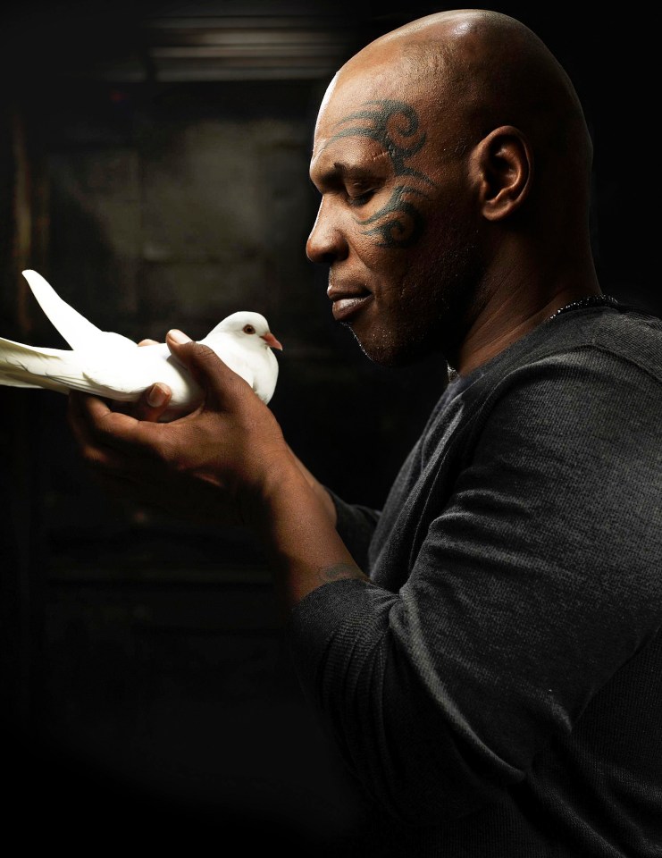 Tyson is said to own 70 pigeons and knows them all individually