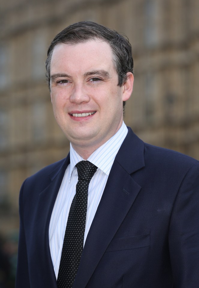 Campaign boss James Wharton was Northern Powerhouse minister