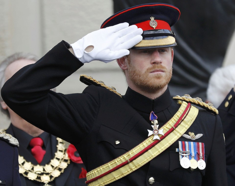 Prince Harry described wearing his poppy with pride to ‘celebrate the bravery of all our veterans’