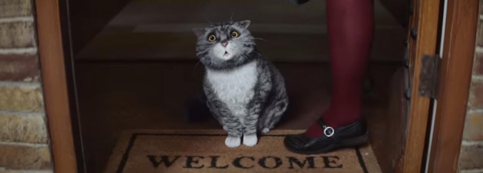 Animated adverts have been popular over the years, and this cat tugged on our heartstrings 