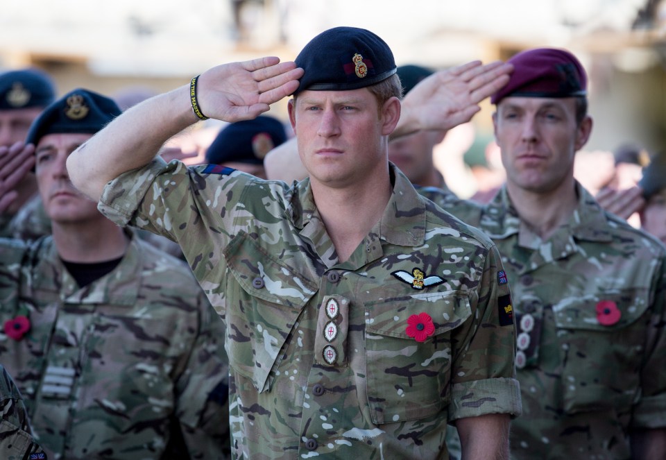 Harry first attended the Cenotaph in 2009 aged 25