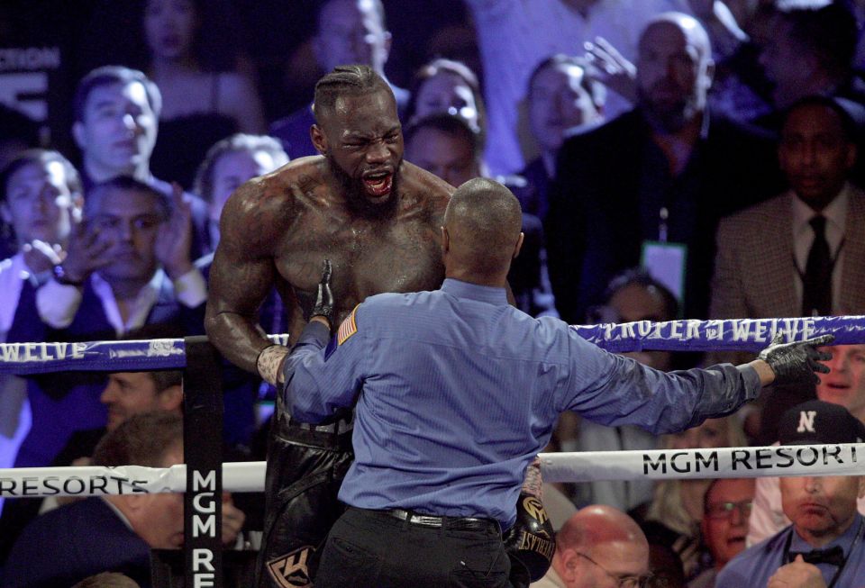 Deontay Wilder sensationally claimed his 'water was tampered with' against Tyson Fury