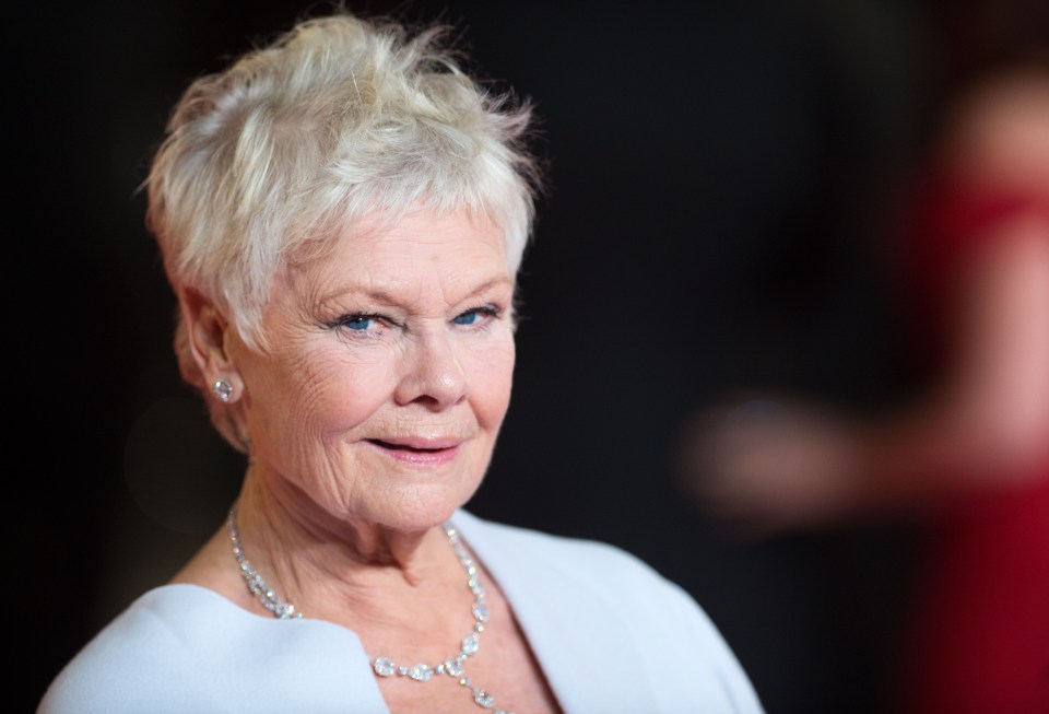 Dame Judi Dench would help out for the TV and movies round