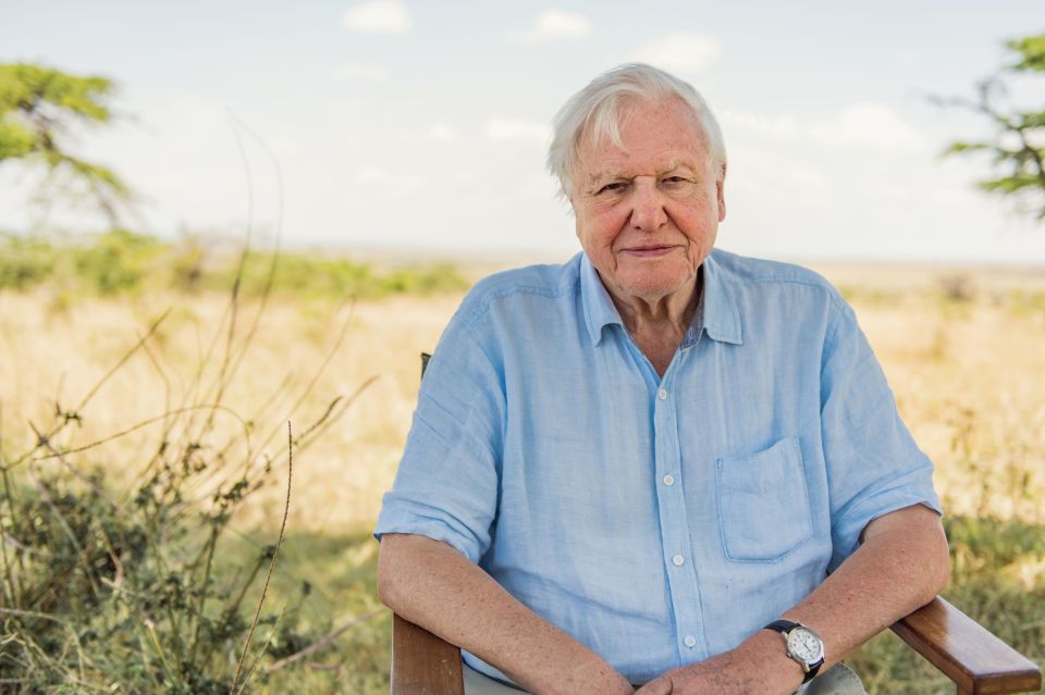 David Attenborough is the ideal pub quiz participant 