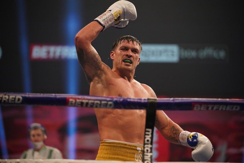 Olekasandr Usyk is the WBO mandatory challenger at heavyweight 