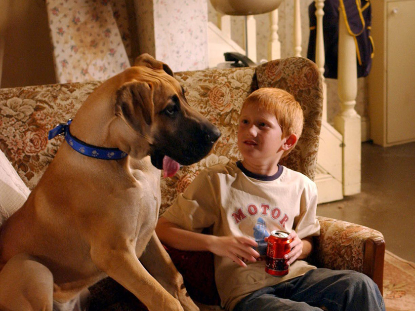 Corrie has had plenty of animal stars, including Chesney Brown’s Great Dane Schmeichel