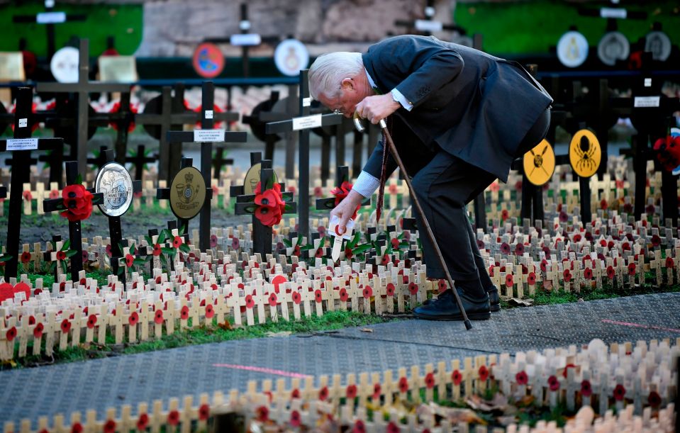  The poppy has become a powerful visual symbol of the commemorations around Armistice Day and Remembrance Sunday