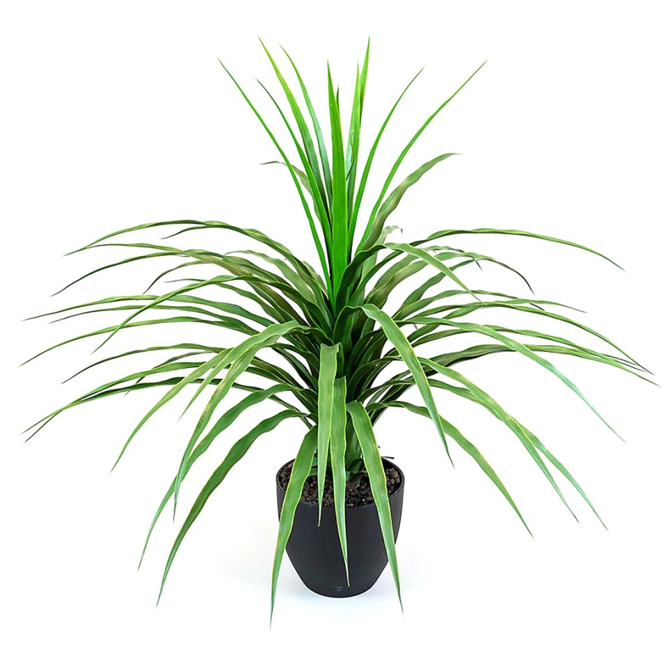 Spruce up your home with plants that will never die, like this artificial yukka