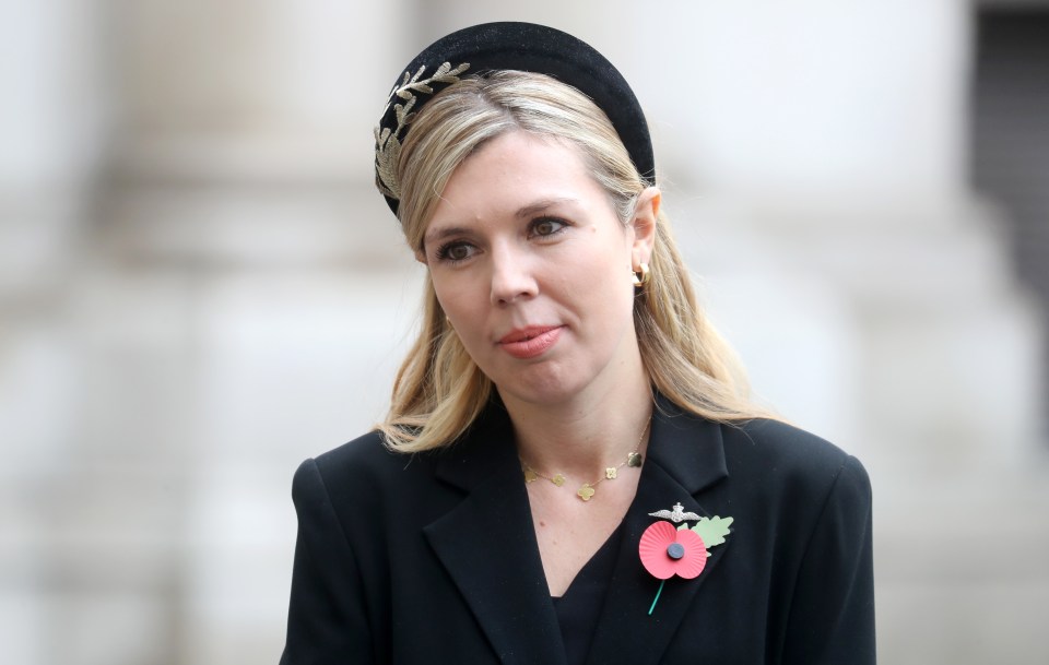 Carrie Symonds wants to be a modern day Princess Diana, it was claimed