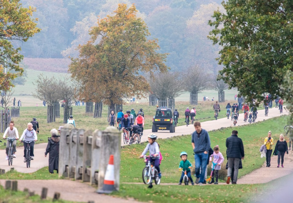 Families headed to parks in London despite the second England lockdown