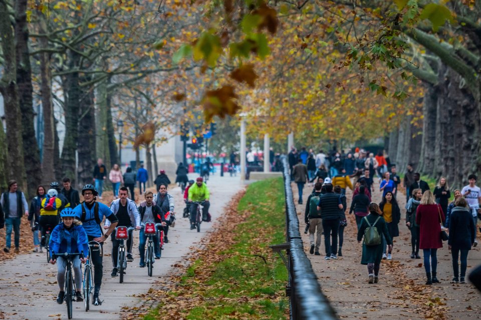 Seven out of ten Londoners agree that making the planet greener is a priority for the capital