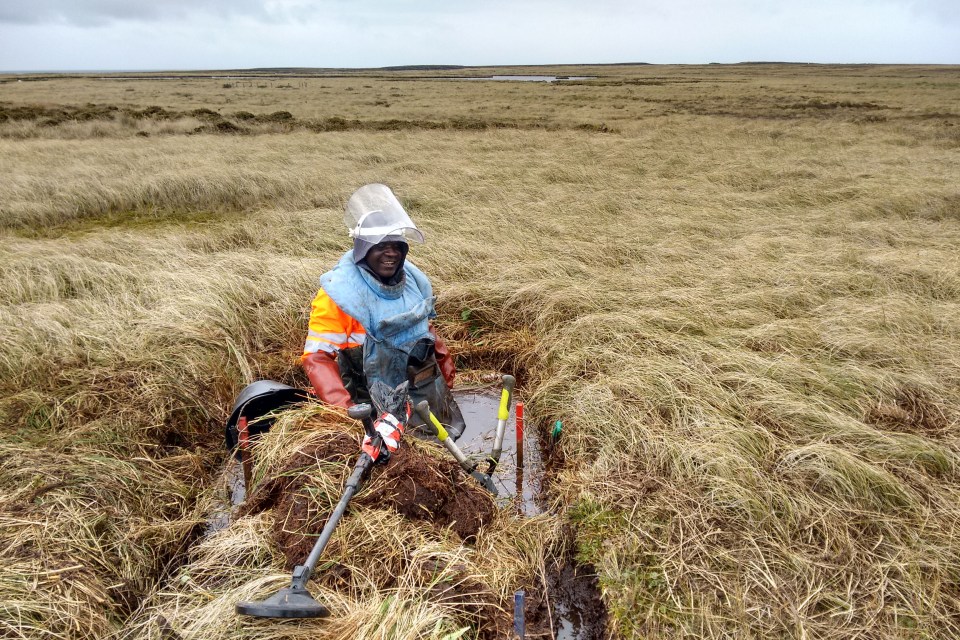 More than 100 deminers — mostly from Zimbabwe — have cleared more than 13,000 mines