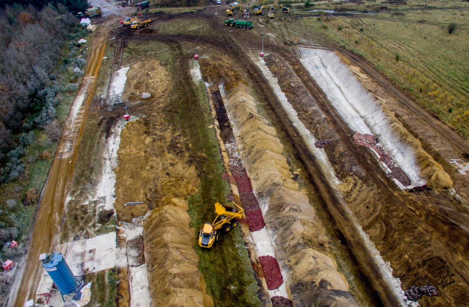 Millions of mink were culled and buried in mass graves in Denmark over coronavirus fears