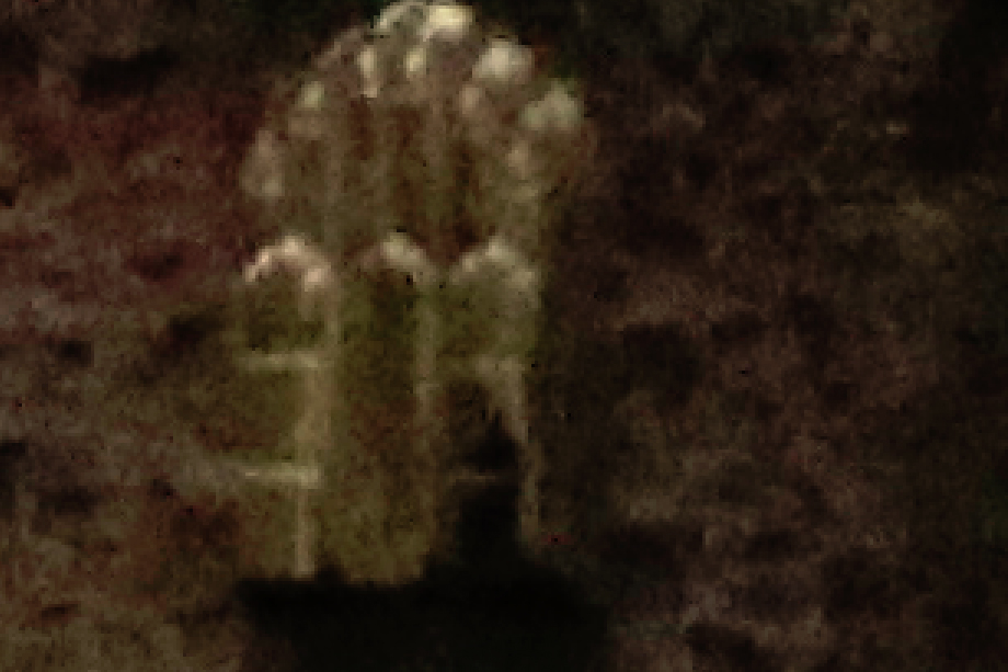 A ghostly figure was spotted at Gwrych Castle on launch night 