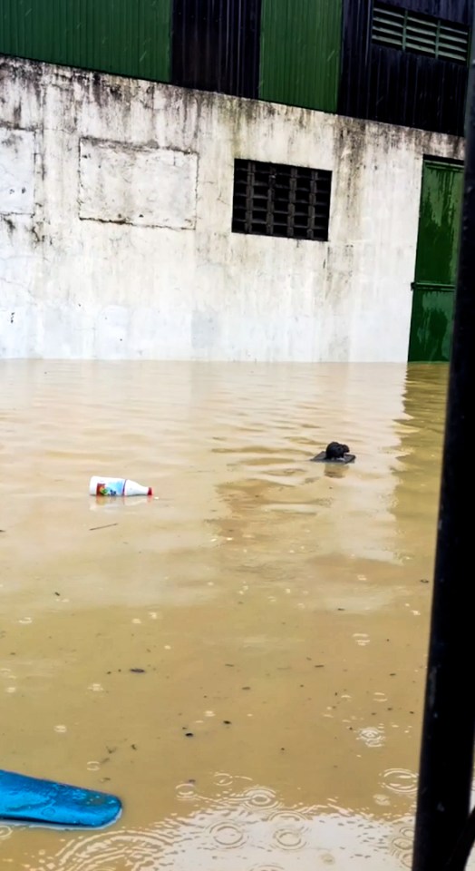 Cagayan province which suffered severe flooding