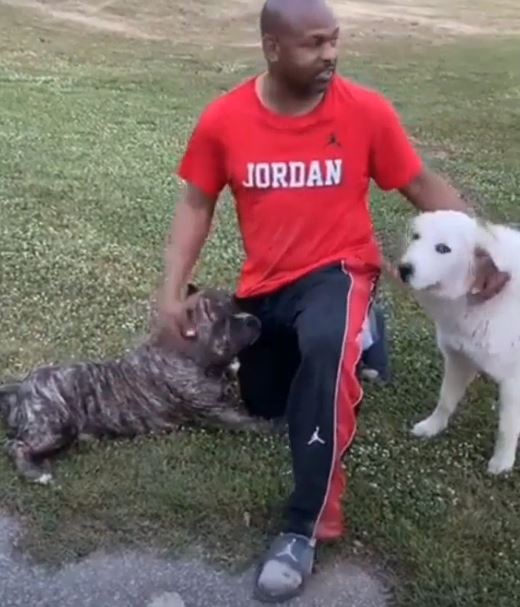 Jones Jr used to breed Pit Bulls and currently has two, as well as a Golden Retriever