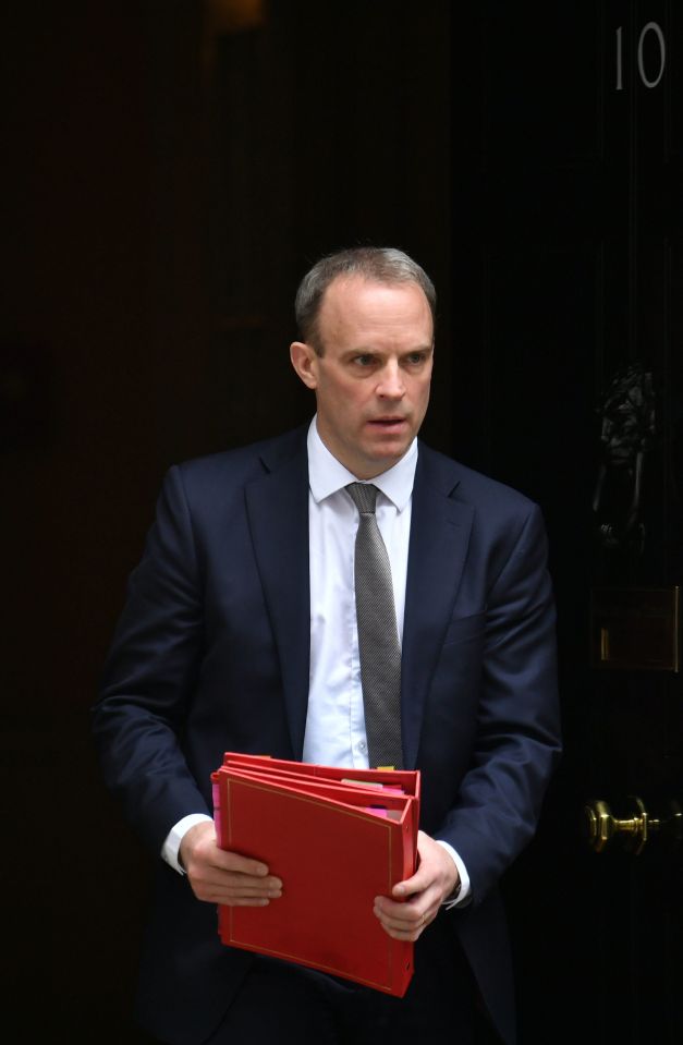 Foreign Secretary Dominic Raab said the letter will help Brits in Europe register for residence, healthcare and swap drivers licence and 