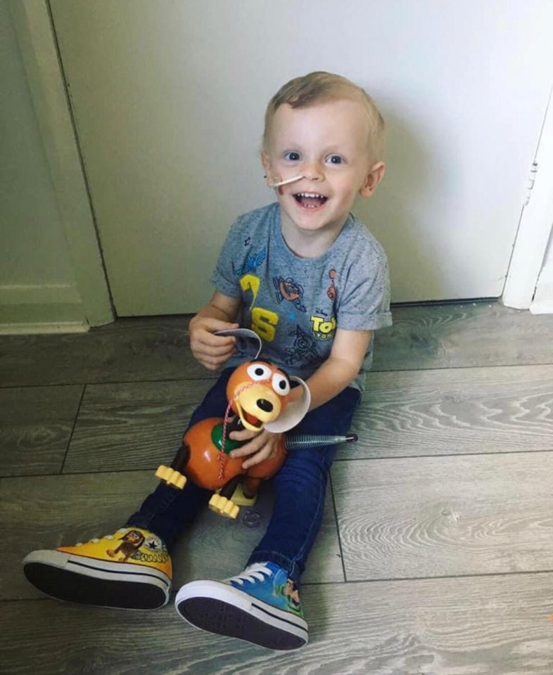 Alfie Powell complained he had severe back pain after tumbling over his Toy Story Slinky Dog