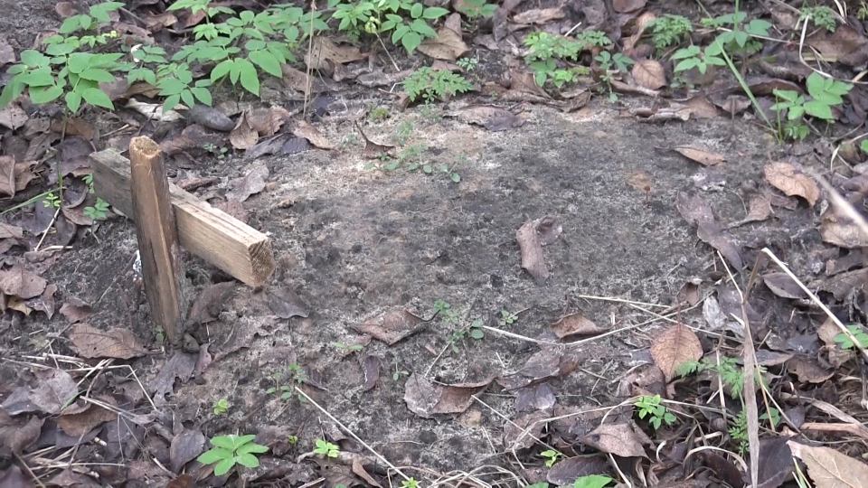 The remains of the little boy were then buried in a shallow grave