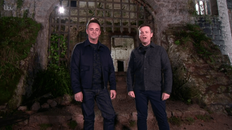 Ant and Dec returned to host I'm A Celeb from Wales tonight