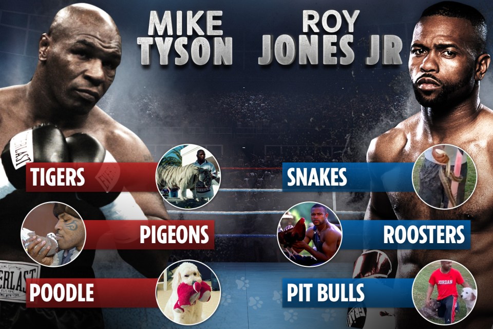 Mike Tyson and Roy Jones Jr are both animal lovers