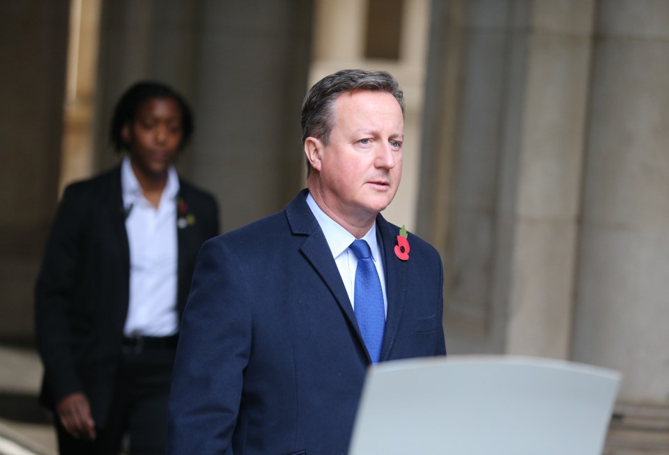 David Cameron warned it will be a political blunder