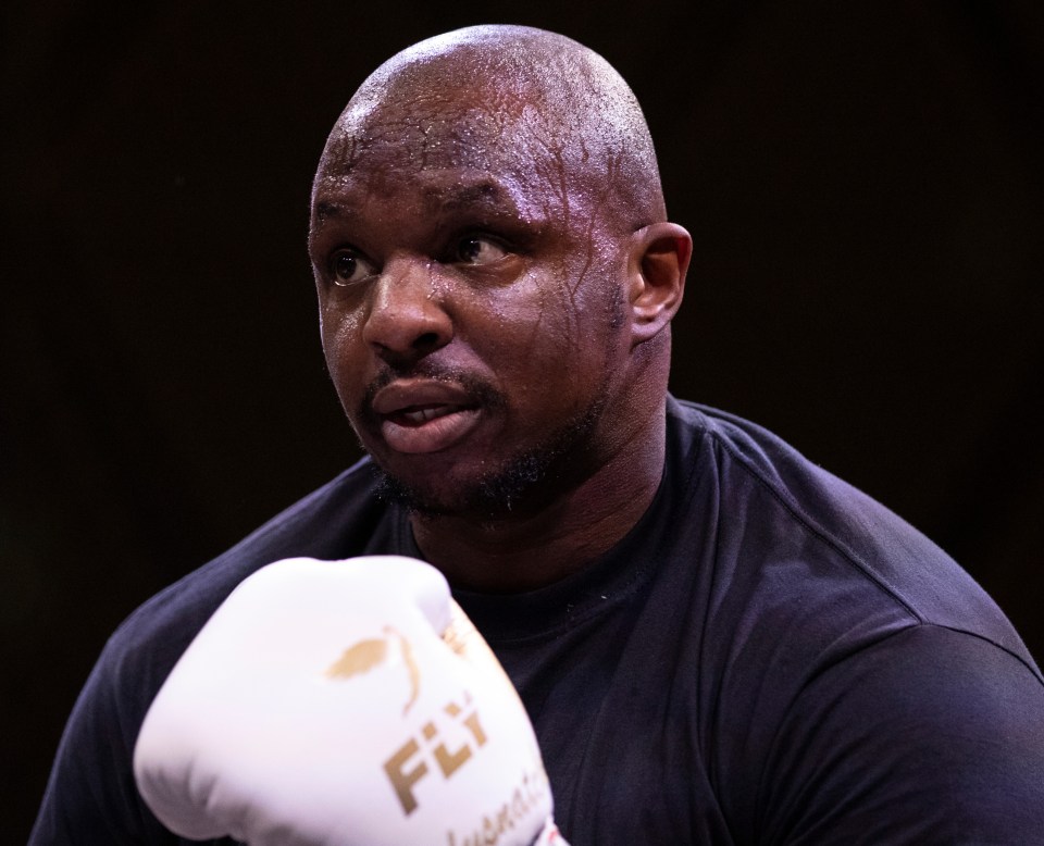 Dillian Whyte slammed his heavyweight rival for 'quitting'