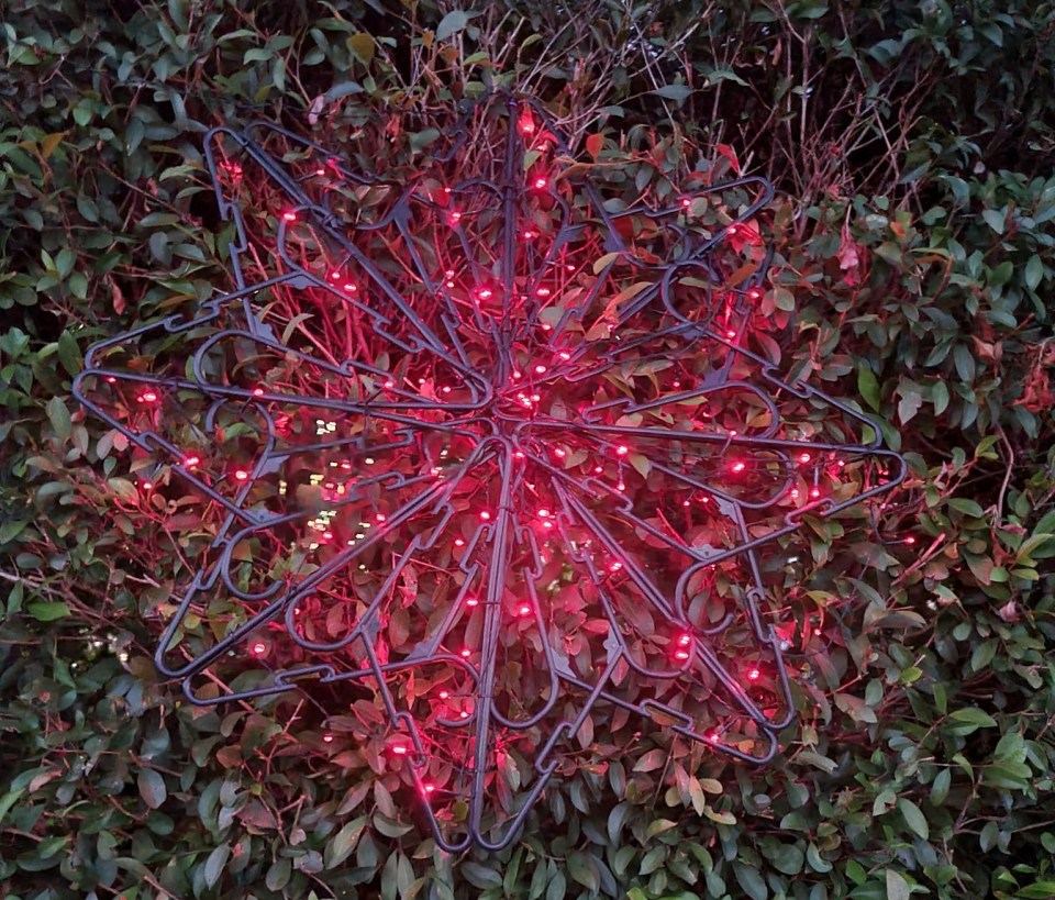 One woman wrapped fairy lights around hers to make an incredible effect 