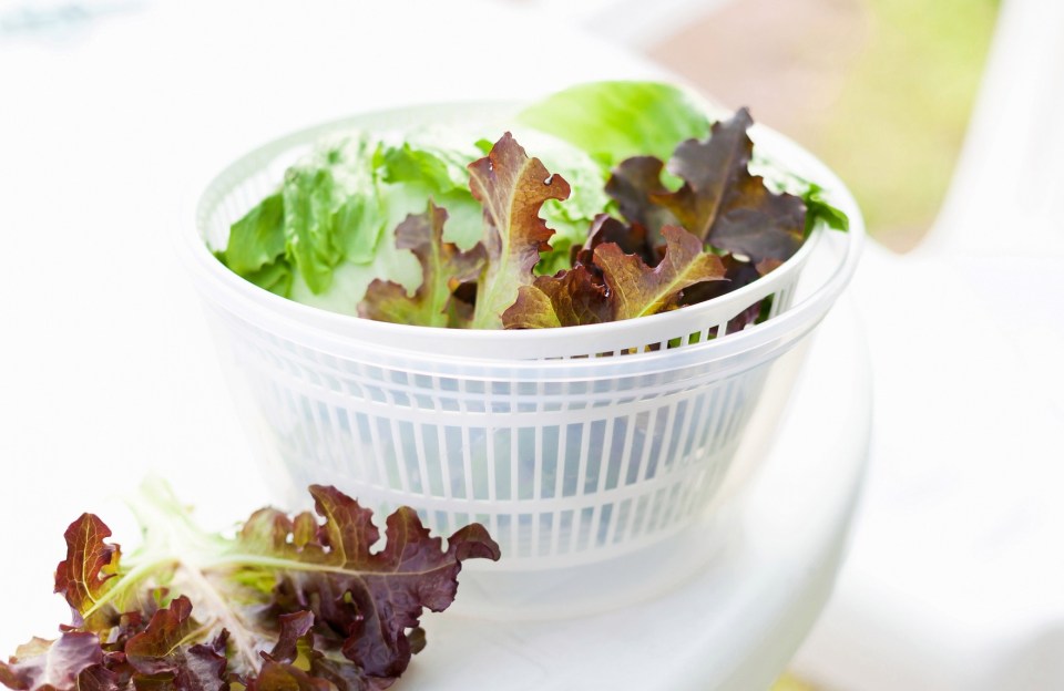 Use a salad spinner for your delicates - if it works on lettuce, it'll work on clothes, right?