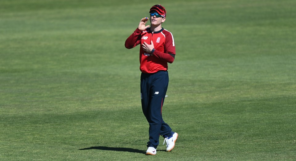 The messages were designed to send messages to tourists' skipper Eoin Morgan out in the middle