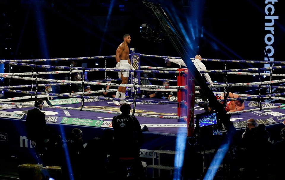 Joshua looked set for an early night as he battered Pulev to the canvas