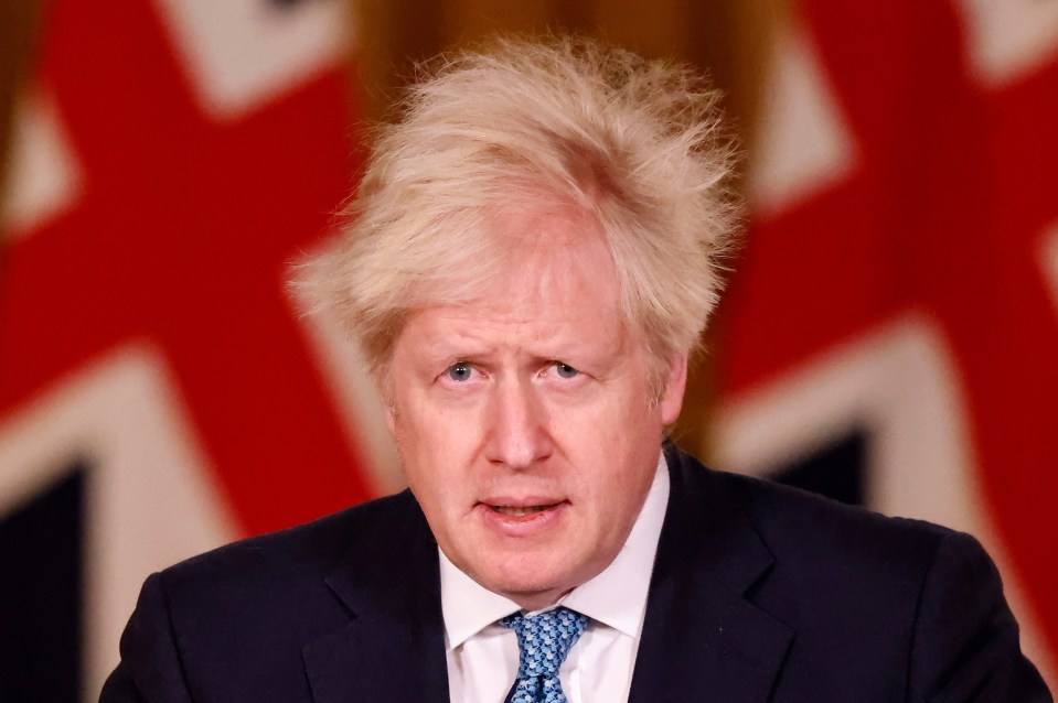 Boris Johnson deployed the military to UK ports to carry out tests on up to 6,000 lorry drivers a day