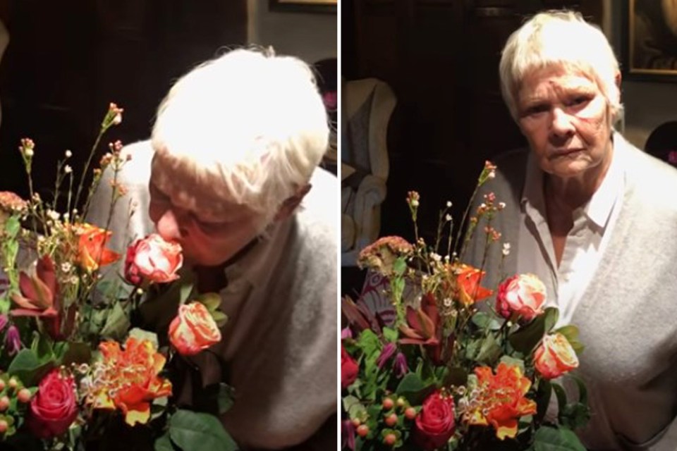 Dame Judi Dench is seen sniffing flowers to test her sense of smell - a loss of taste a smell is a key symptom of the coronavirus 