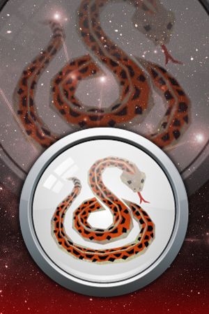 The Snake is an animal in the Chinese Zodiac