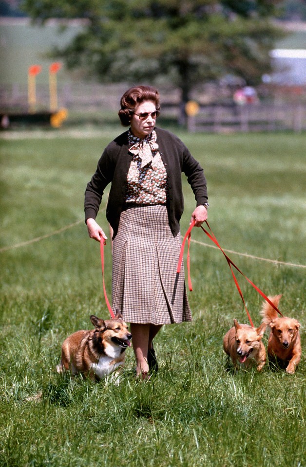 Her majesty walking her corgis at the Windsor Horse Trials in 1980