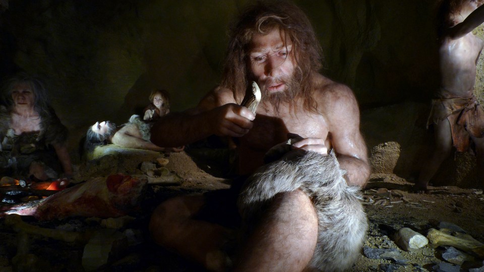 Early humans may have needed to hibernate to survive the winter