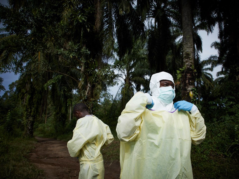 Prof Muyembe believes humans encroaching into the wild hugely increases the risk of new pandemics