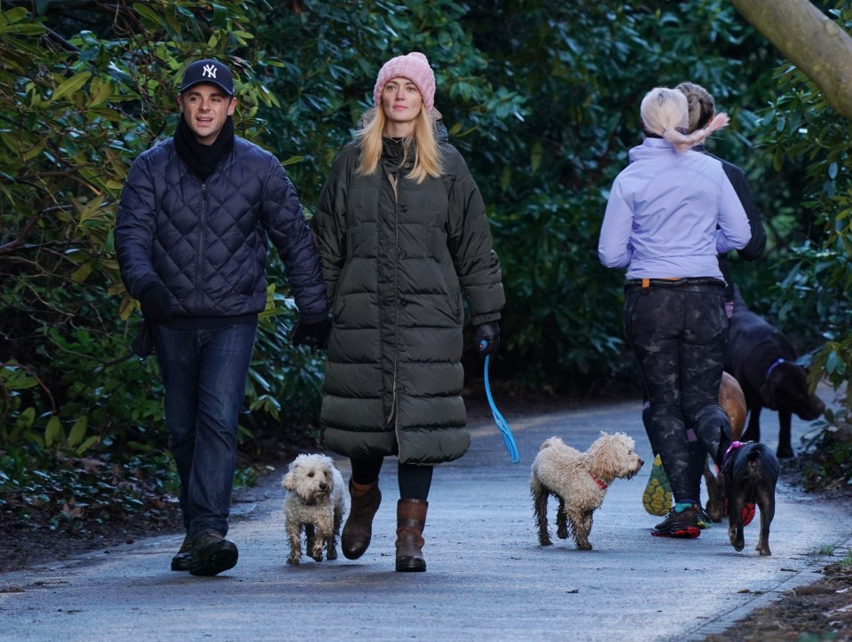 The couple are regularly seen out walking their pooches in South-West London