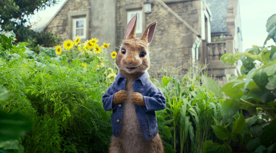 Peter Rabbit, voiced by James Corden, bounds back on to the big screen just in time for the summer holidays