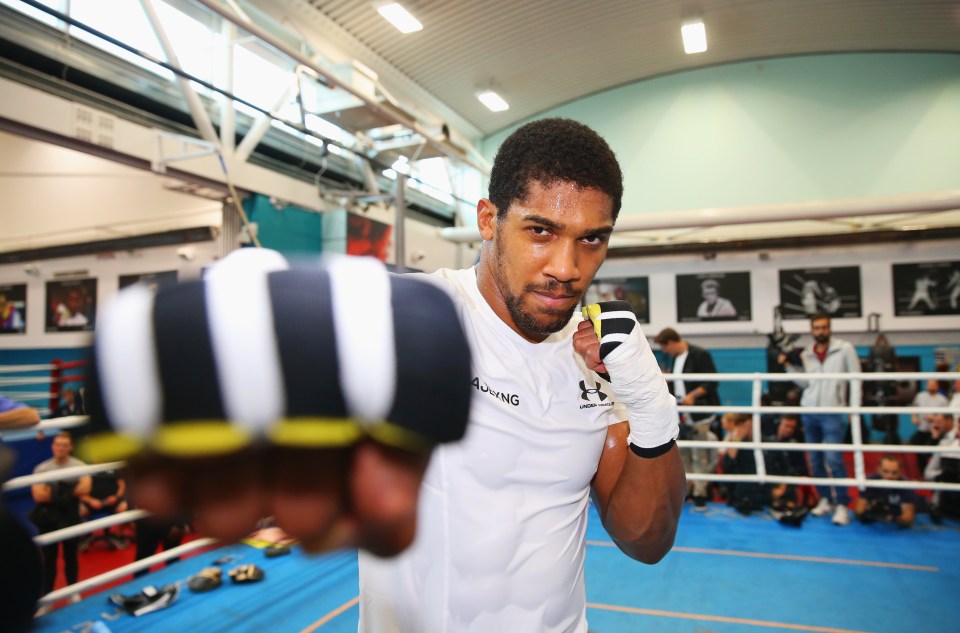 Anthony Joshua is in action on December 12 against Kubrat Pulev