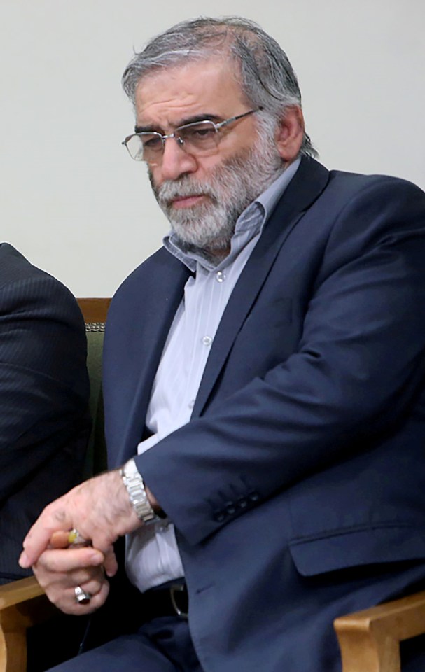 The 59-year-old was one of Iran's leading nuclear scientists 