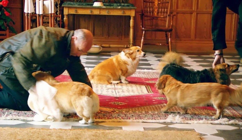 The Queen's corgis, including Vulcan (Right hand side darkest coat), being dried after a walk in Balmoral from the Our Queen documentary, shown in 2013