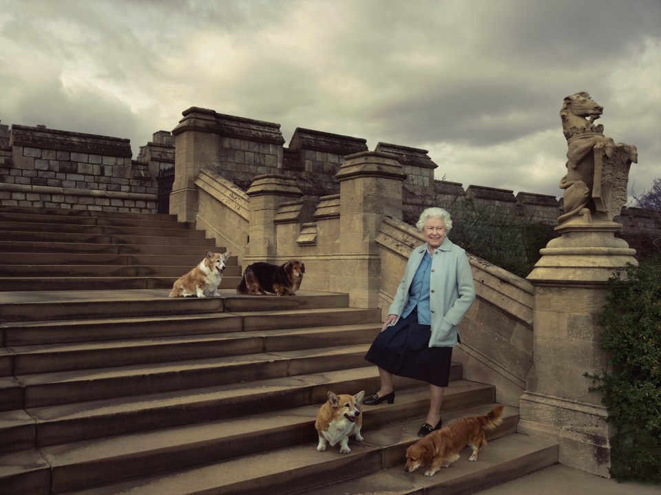 The Queen in the private grounds of Windsor Castle on the steps at the rear of the East Terrace and East Garden with four of her dogs: clockwise from top left Willow (corgi), Vulcan (dorgie), Candy (dorgie) and Holly (corgi)