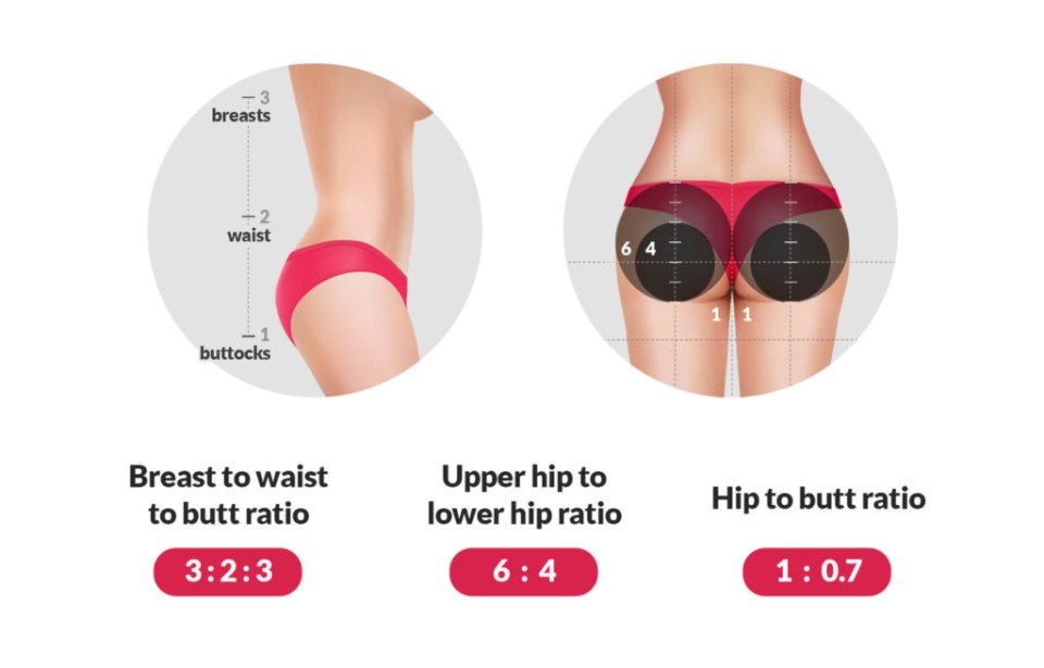 The ratio measures the breast to waist to butt ratio