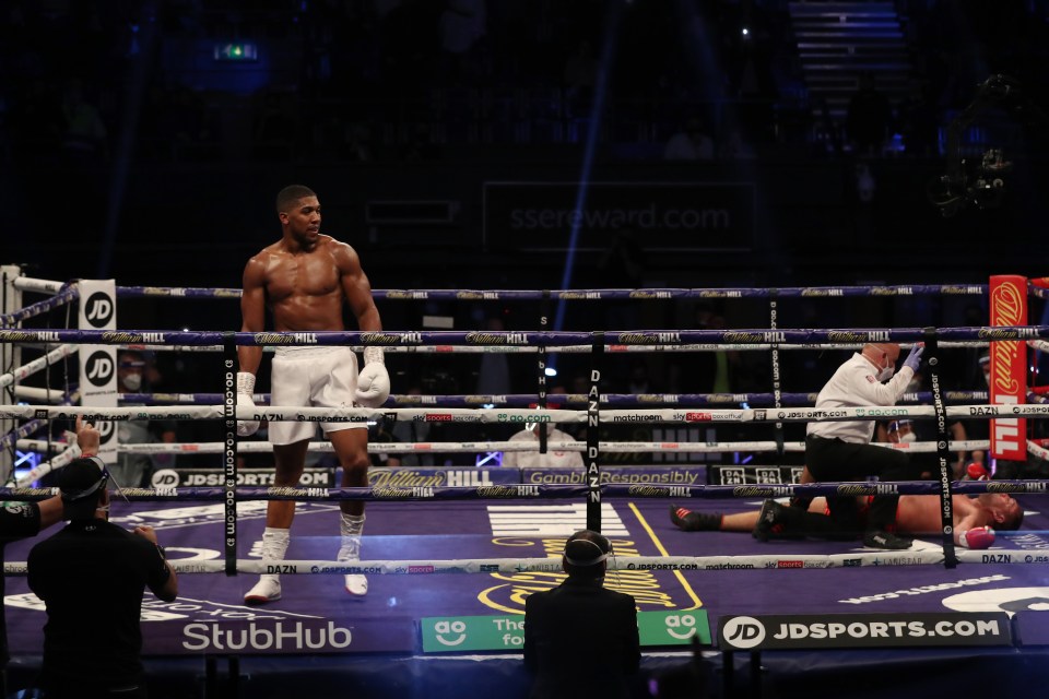 Joshua lays Pulev out and wins by knockout 