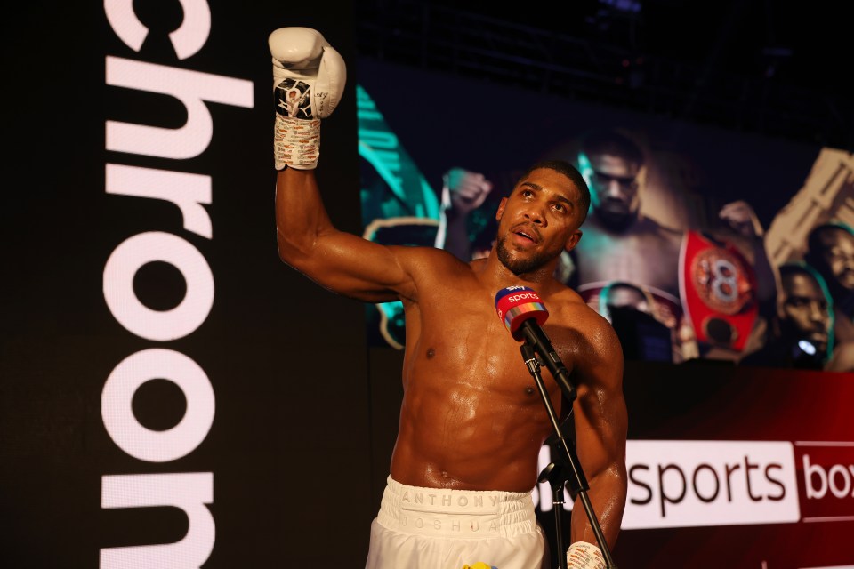 AJ declared he wants all the heavyweight belts after beating Kubrat Pulev